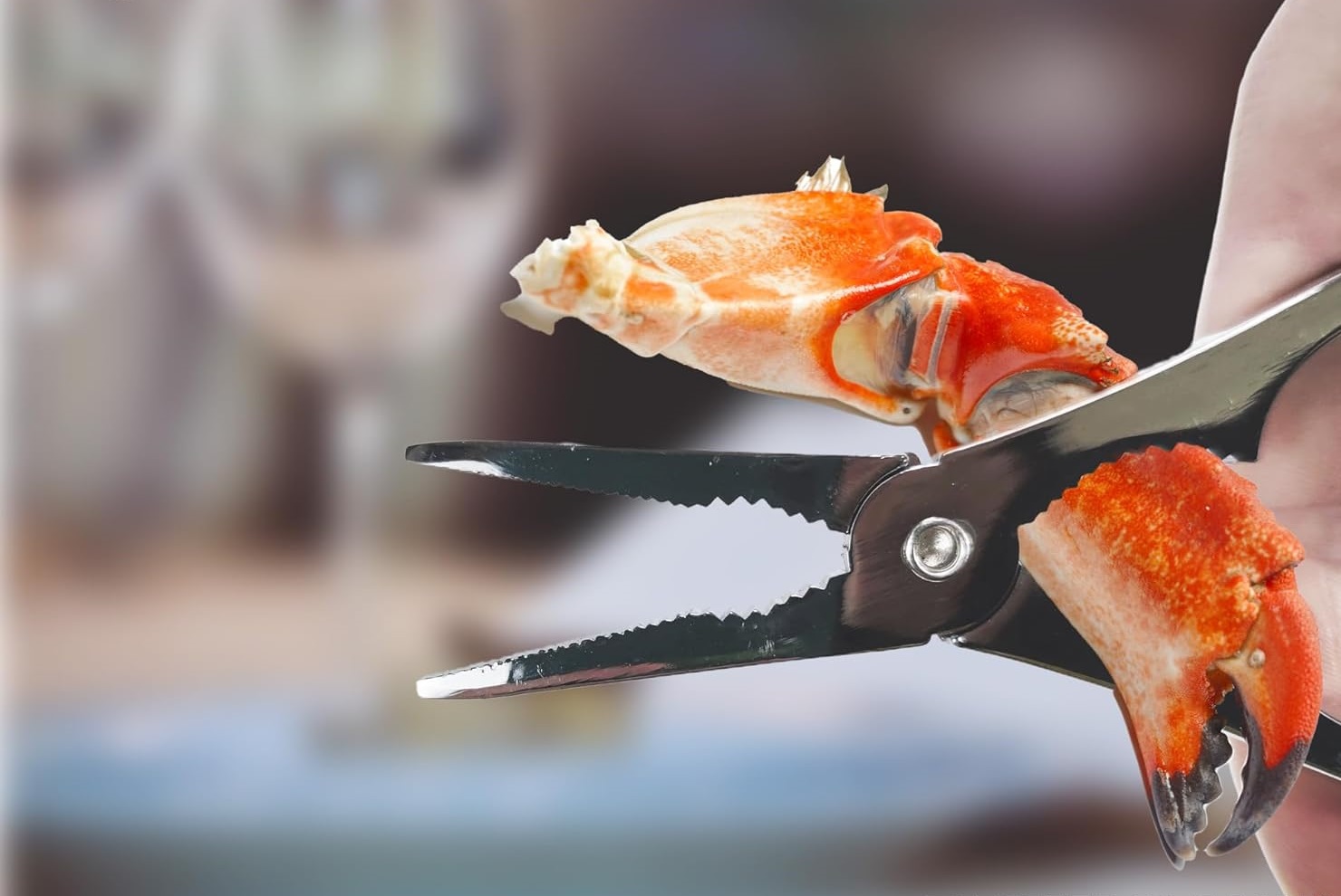 71TDxGvs2gL._AC_SL1500_